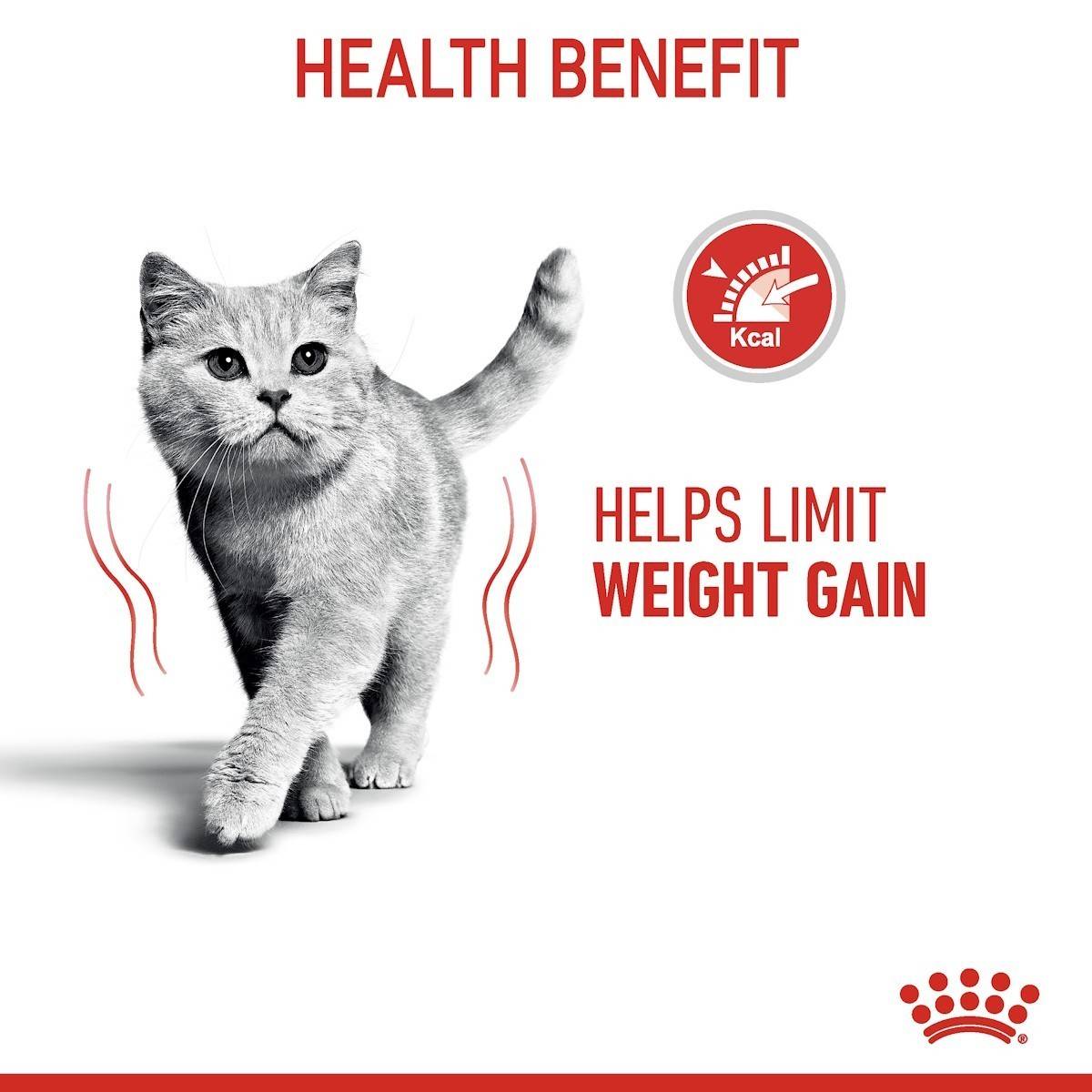 Cat walking with text indicating health benefit of limiting weight gain on a white background