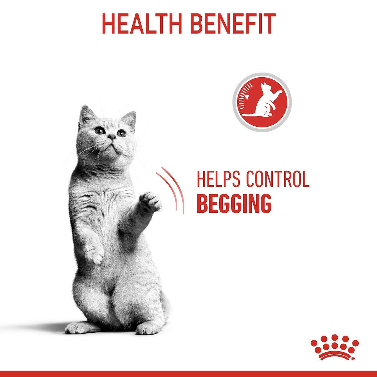 Cat standing on hind legs with text 'Helps Control Begging' and brand logo on a white background