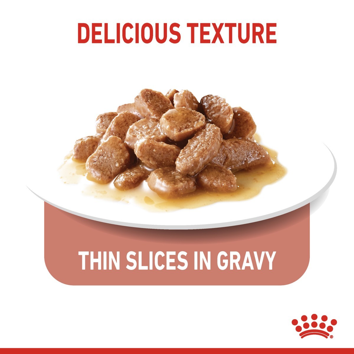 Dog food with thin slices in gravy on a white plate, labeled 'Delicious Texture' and 'Thin Slices in Gravy'.