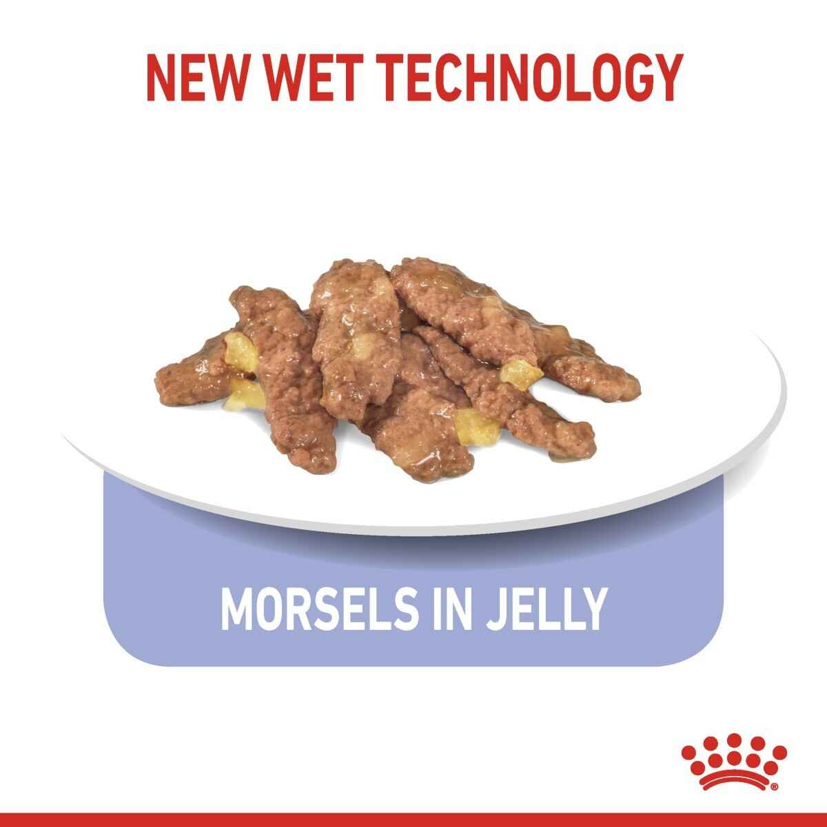 Dog food morsels in jelly on a white plate with 'New Wet Technology' text and Royal Canin logo.