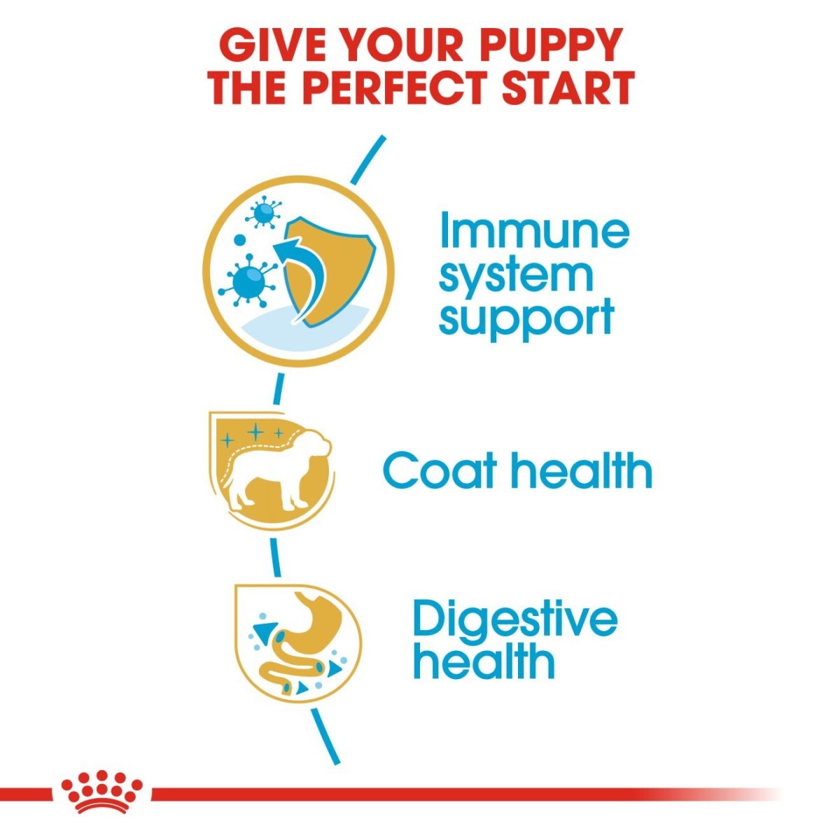 Advertisement for pet food with icons and text about immune system support, coat health, and digestive health.