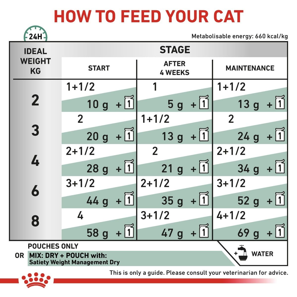 Cat food feeding chart指导如何喂养您的猫
