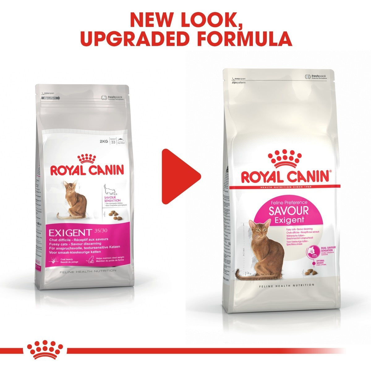 Two packages of Royal Canin Exigent cat food with a red play button graphic.