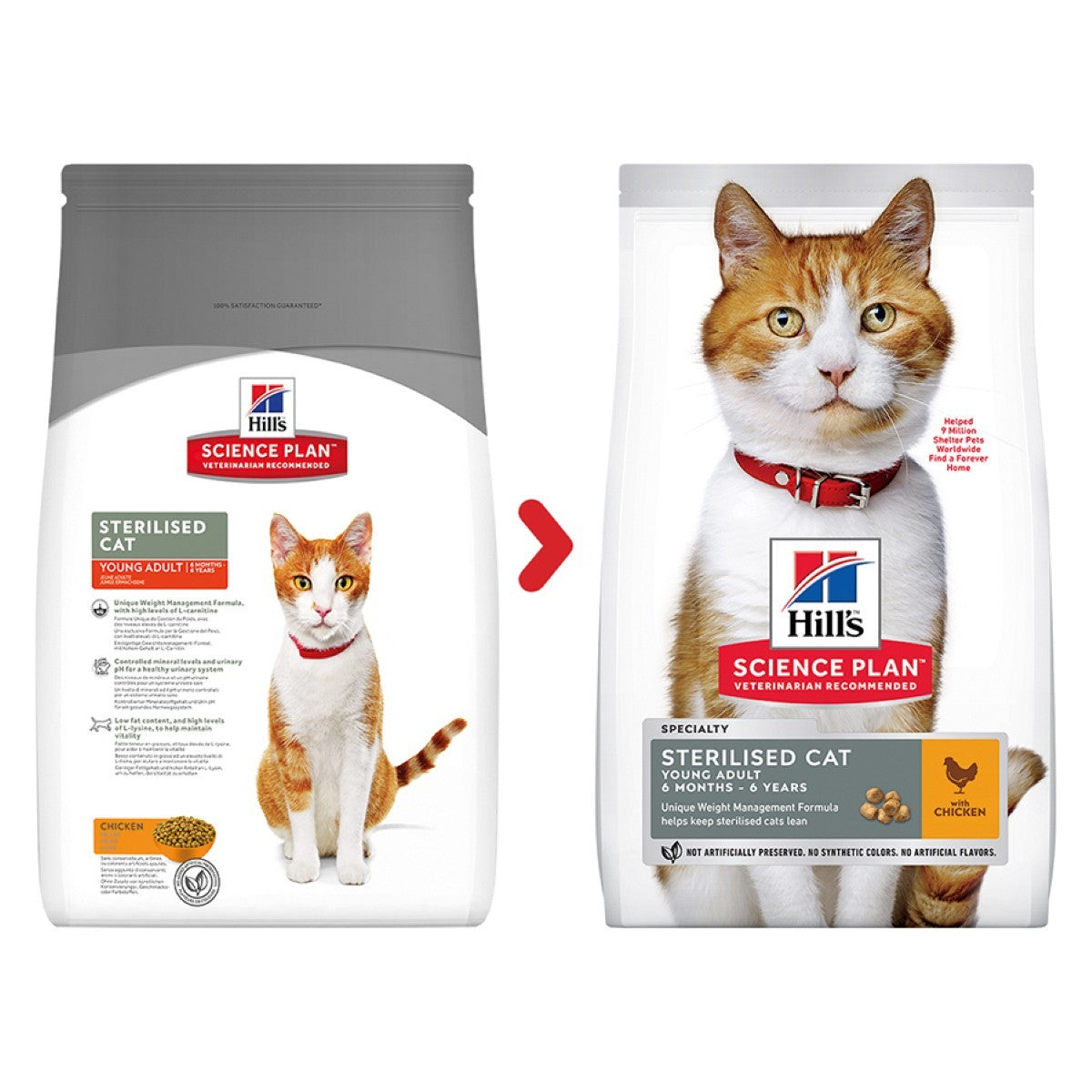 Chicken cat food for weight control