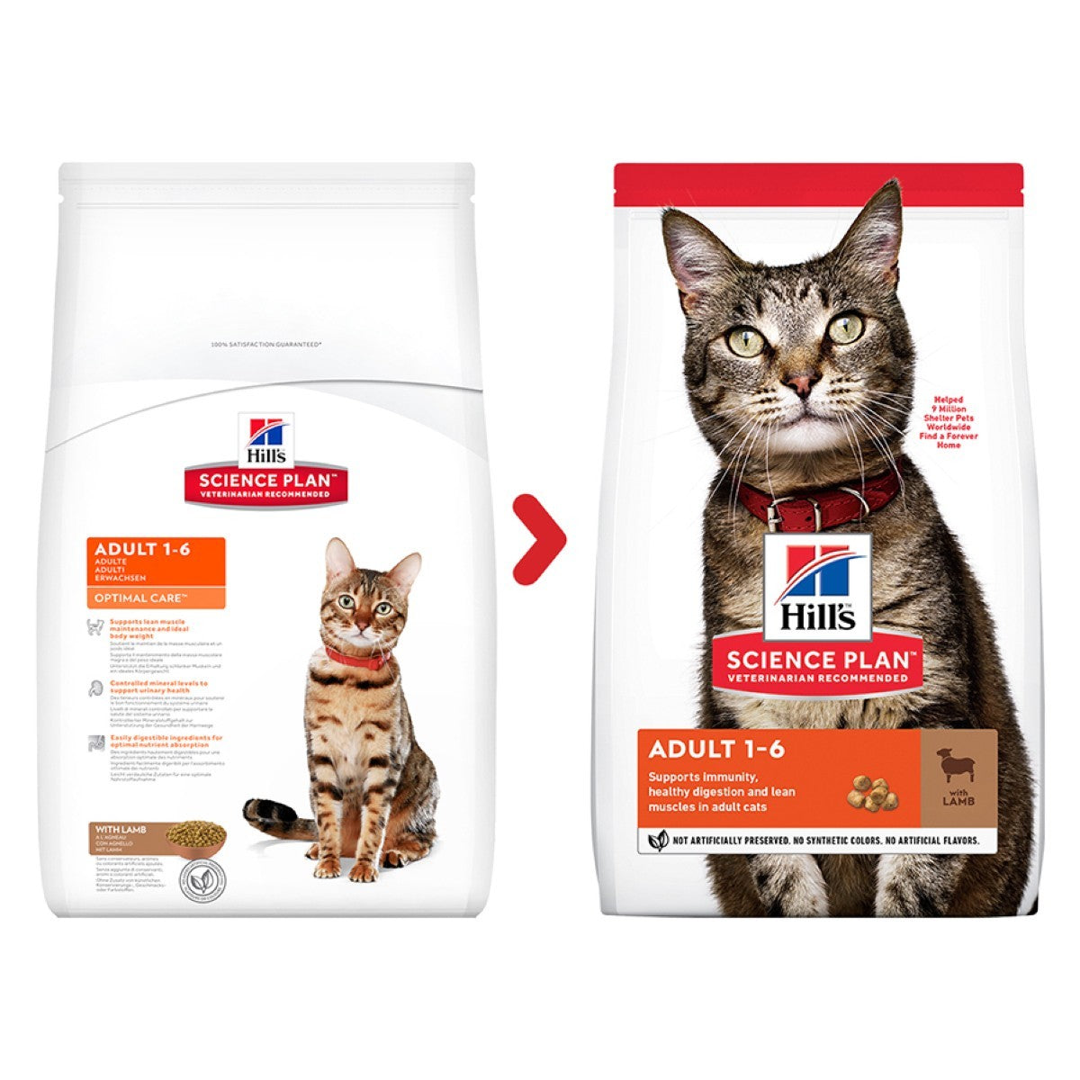 Hill’s lamb cat kibble