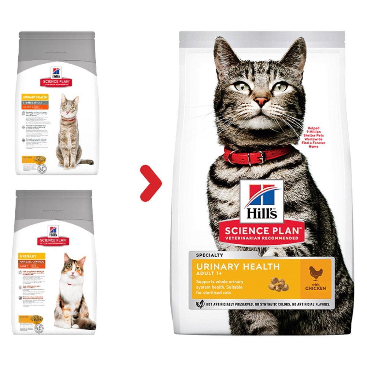 Science Plan urinary cat food