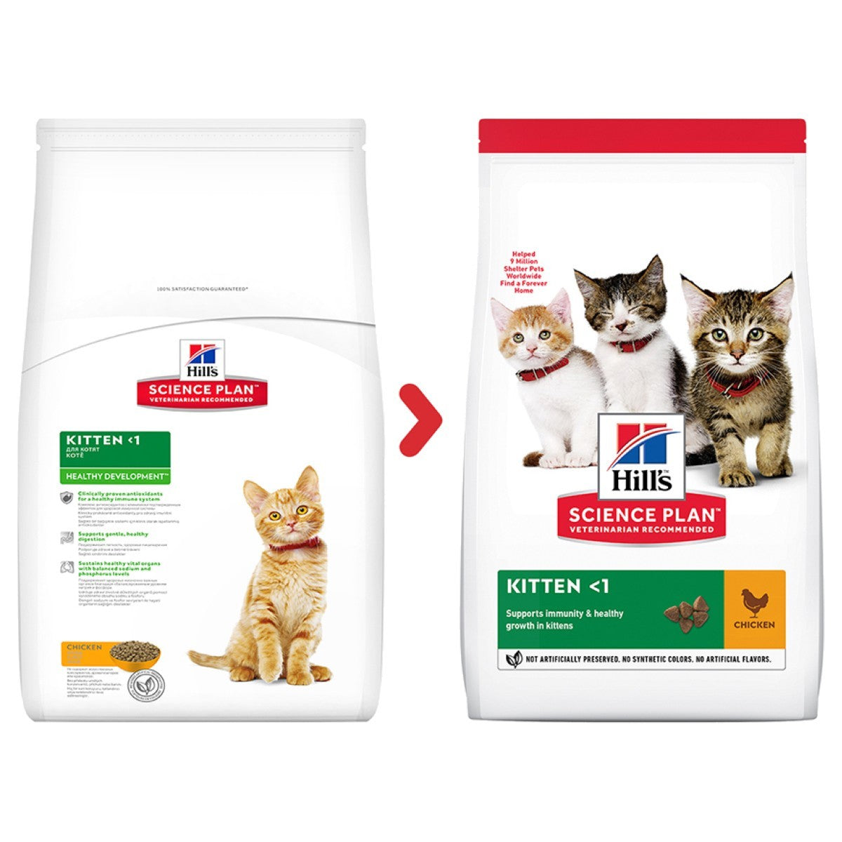 Dry food for kittens