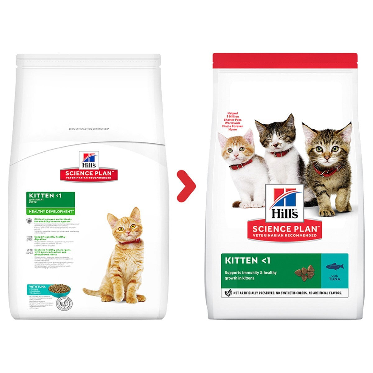 Tuna dry food kittens