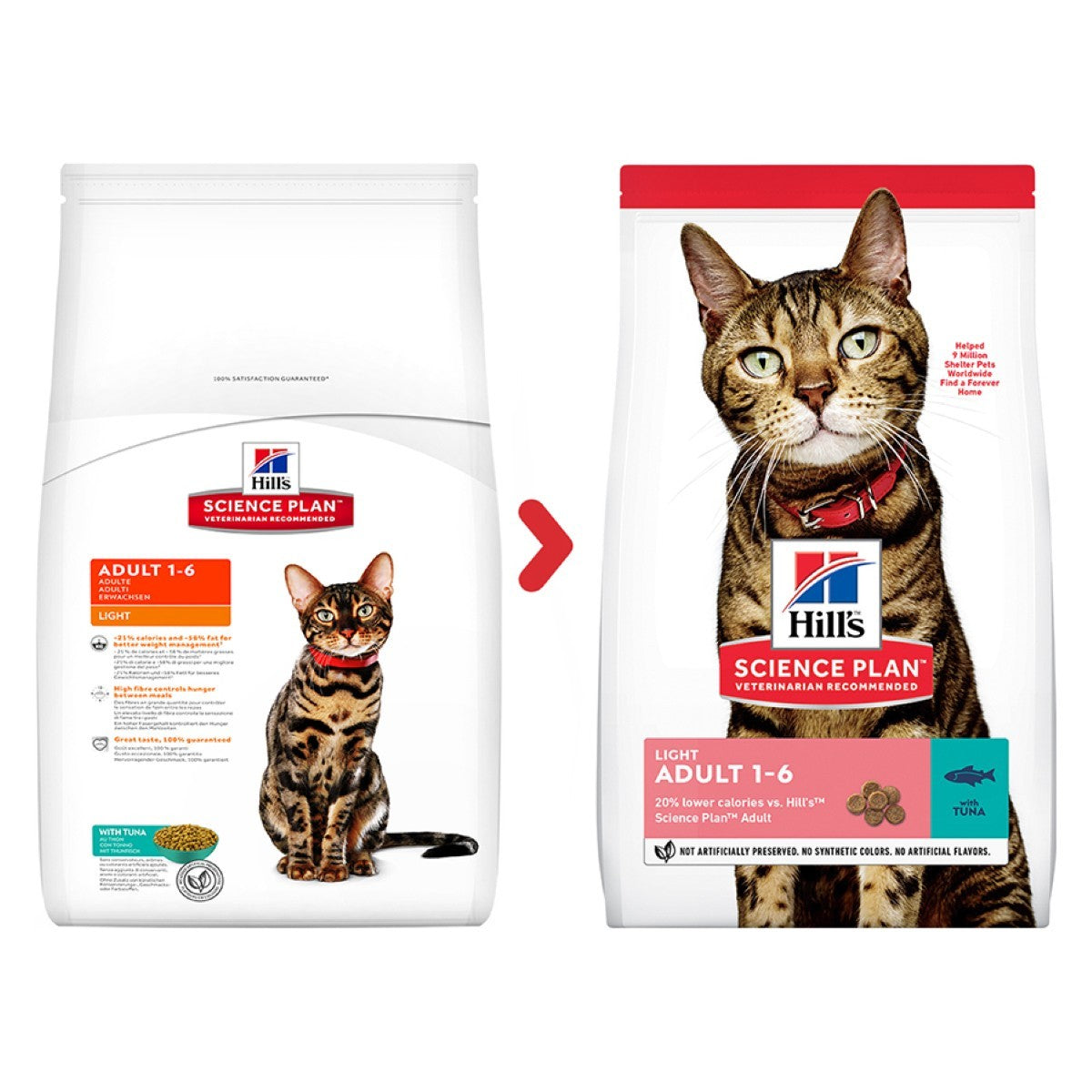 Dry food for cats