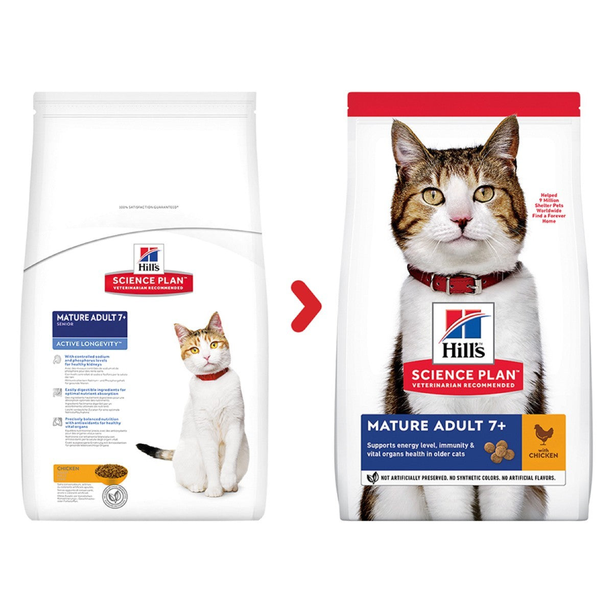 Chicken food for cats