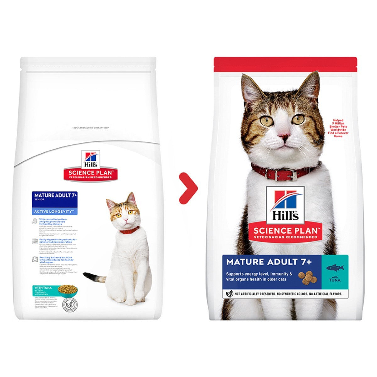 Tuna food for cats