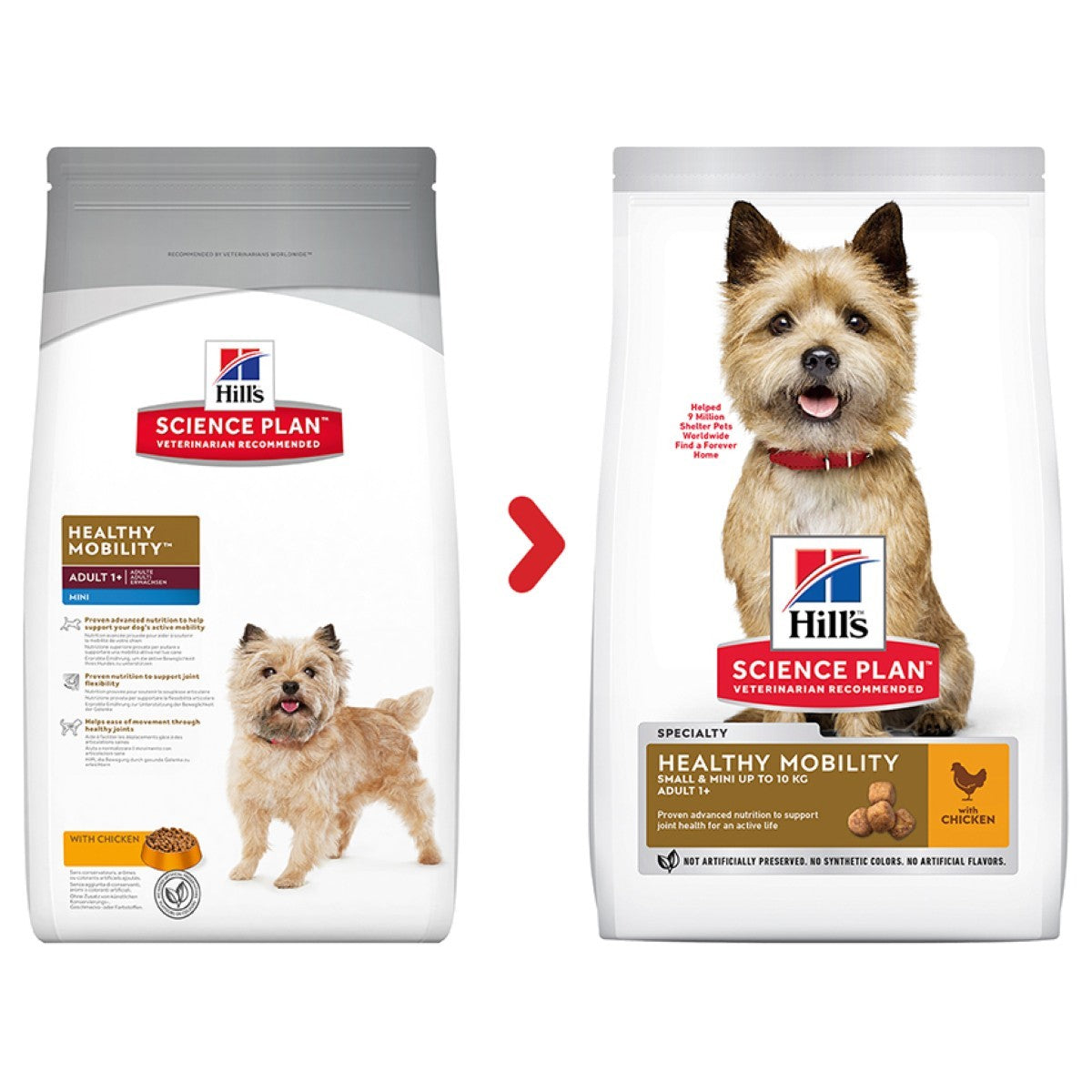 Joint care for small dogs