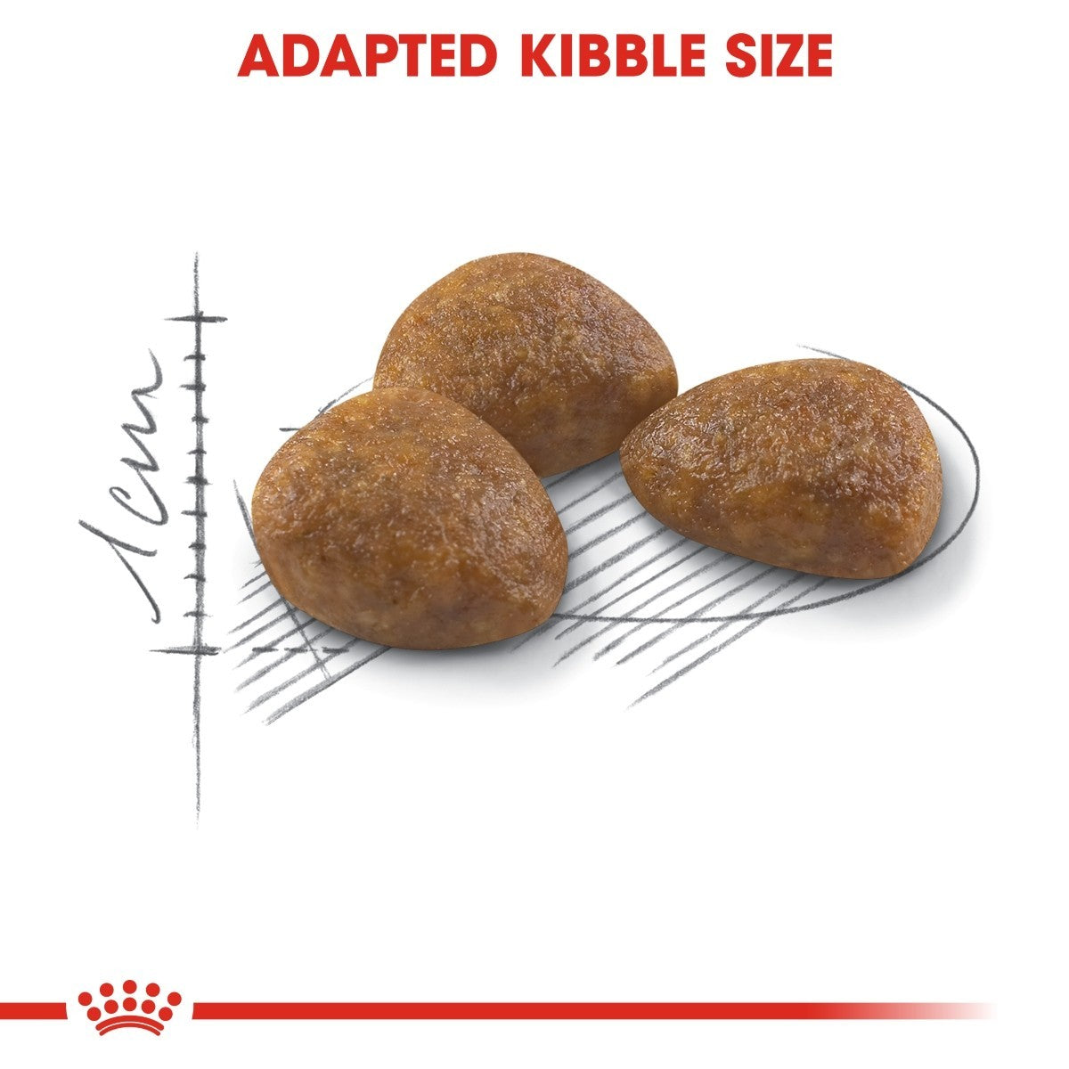 Three pieces of brown kibble with a measurement scale on a white background, featuring the Royal Canin logo.