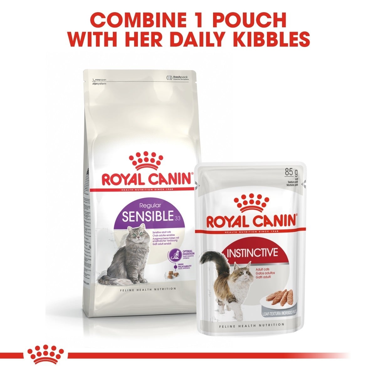 Two Royal Canin cat food packages on a white background with text.