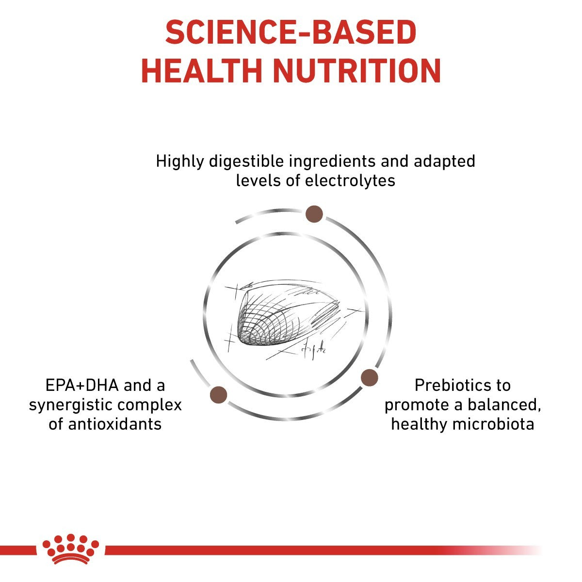 Diagram of science-based health nutrition with ingredients and benefits on a white background.