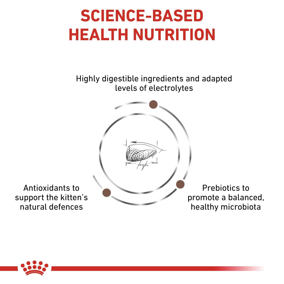 Diagram of science-based health nutrition for kittens with text and a crown logo at the bottom.