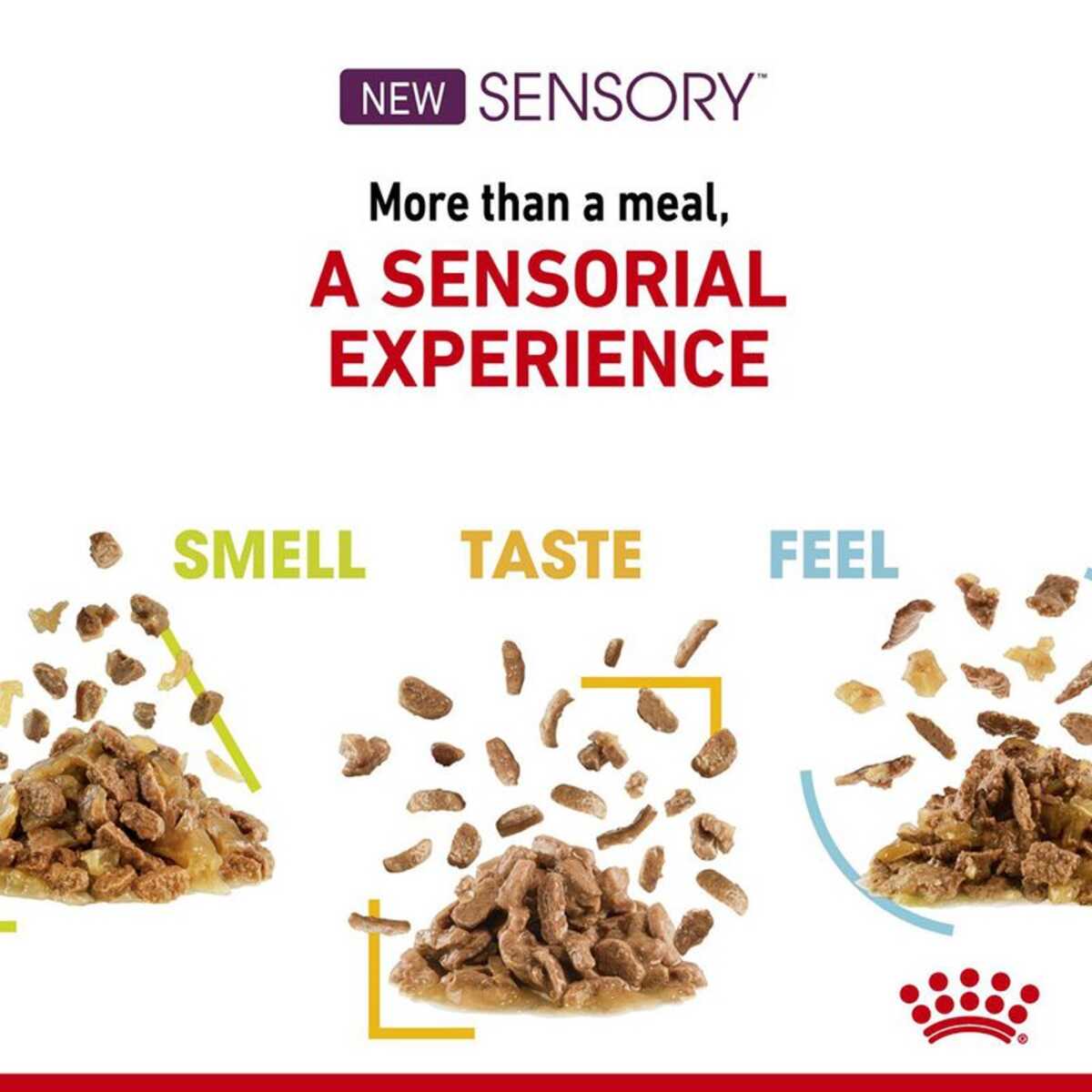 Advertisement for Sensory pet food with text and images of pet food.