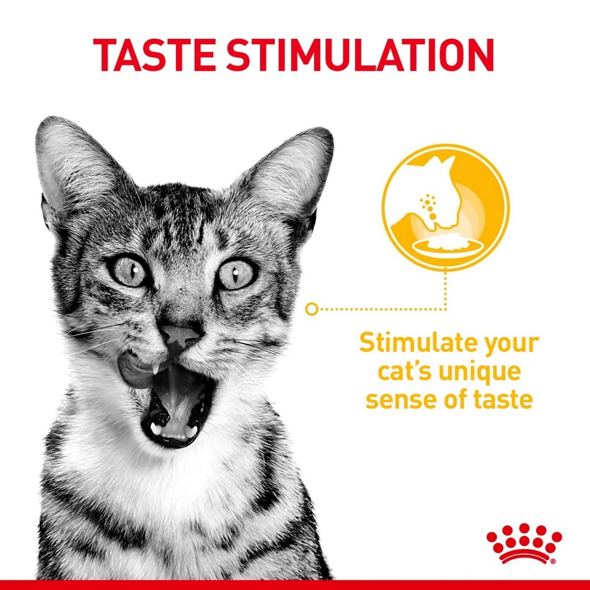 Cat with open mouth and text about taste stimulation on a white background