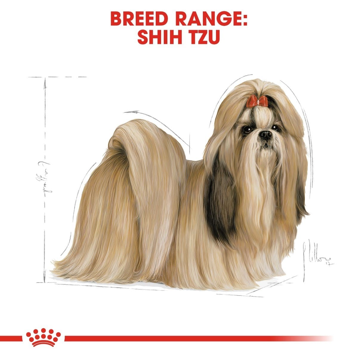 Royal Canin breed health nutrition