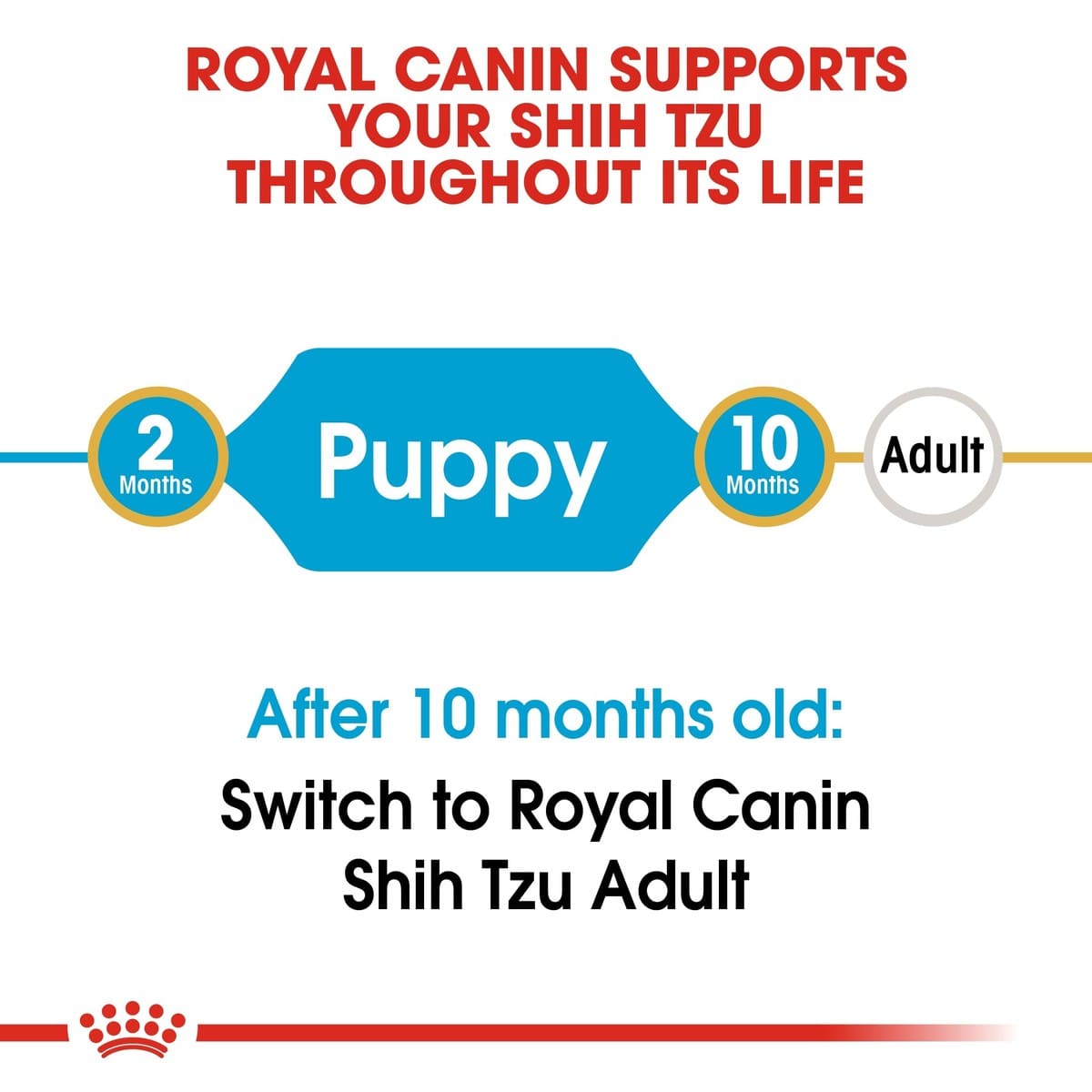 Shih Tzu puppy nutrition 1.5kg