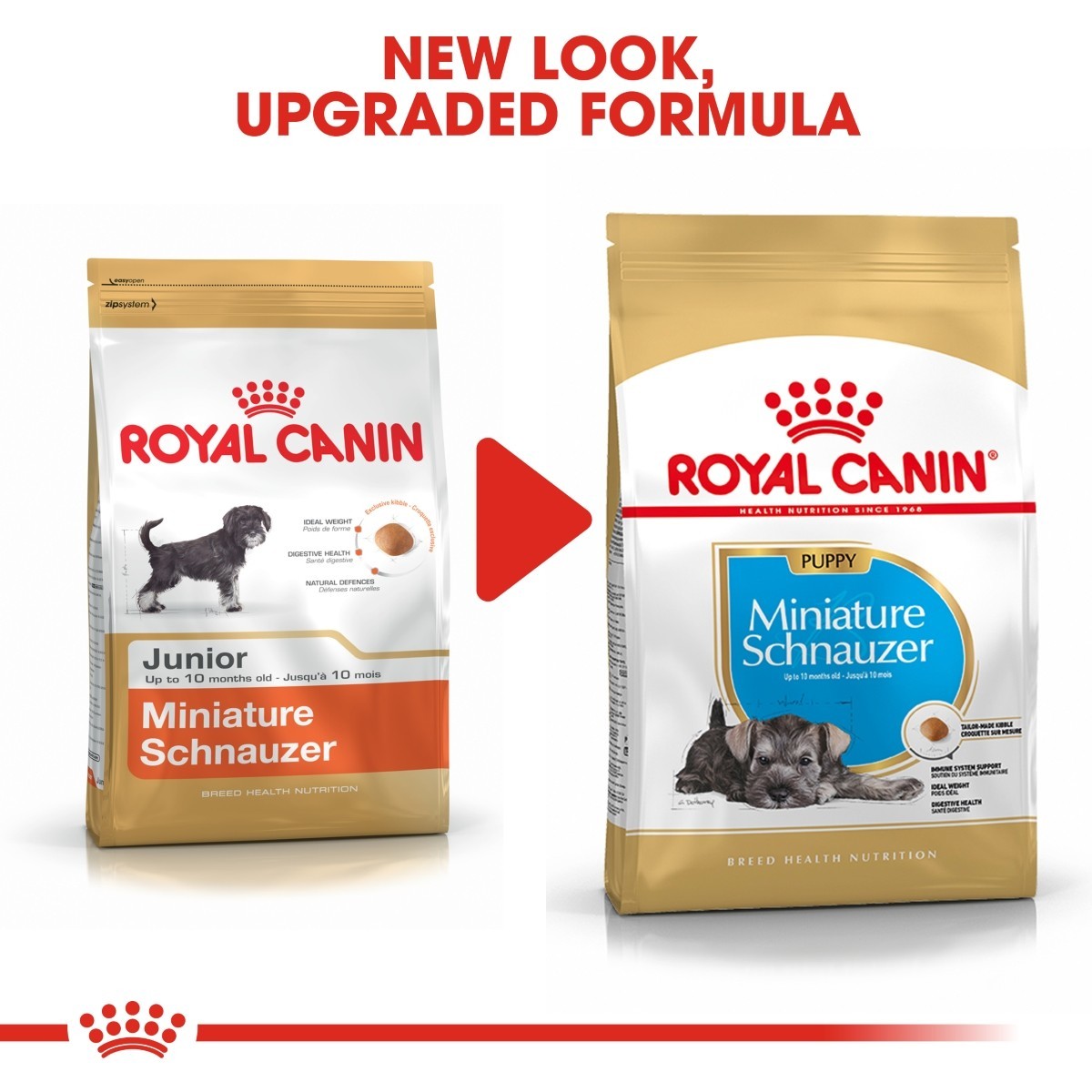 Two packages of Royal Canin Miniature Schnauzer dog food with text indicating a new look and upgraded formula.