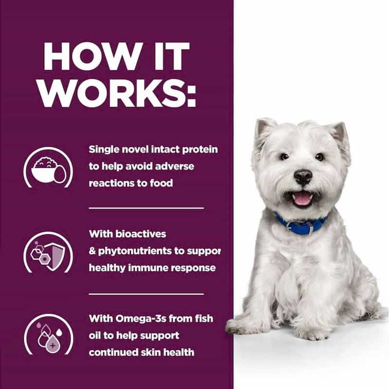White dog with a blue collar on a white background, next to text about a pet food product's benefits.