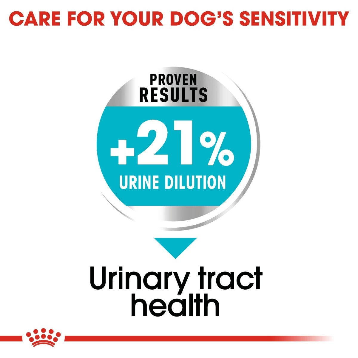 Advertisement for a product to care for a dog's urinary tract health with a +21% urine dilution claim.