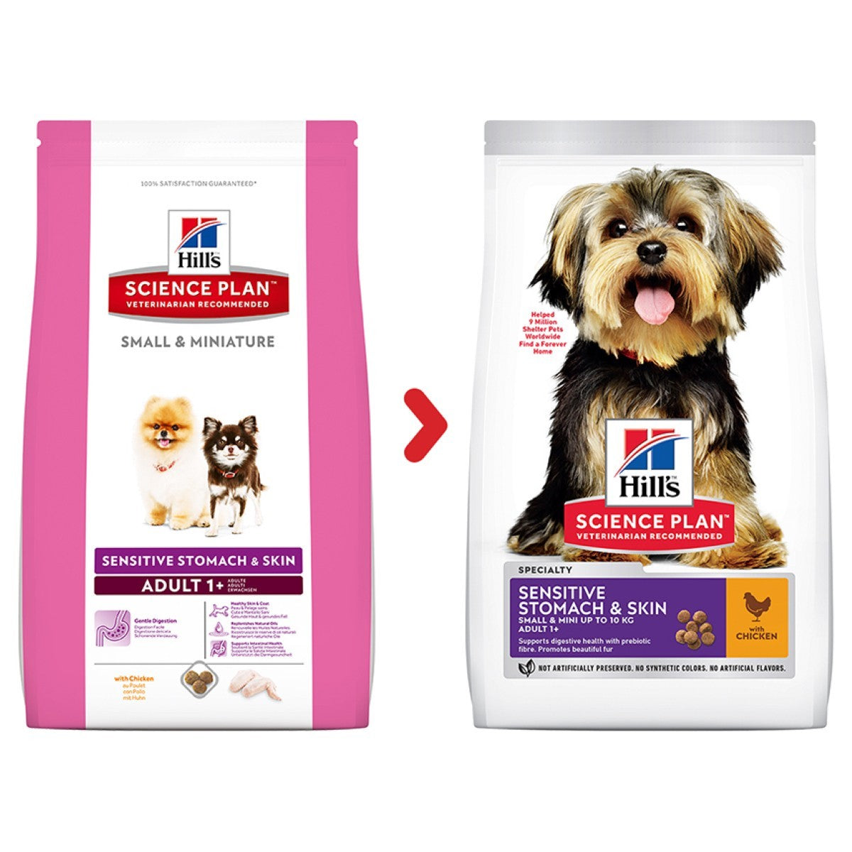 Chicken kibble for minis