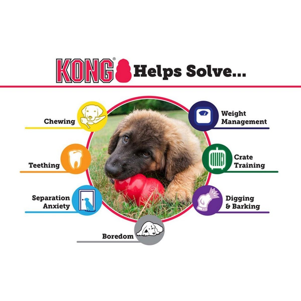 KONG product solution chart with a puppy and red KONG toy on a white background