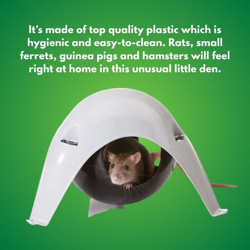 Small animal den with a rat peeking out on a green background