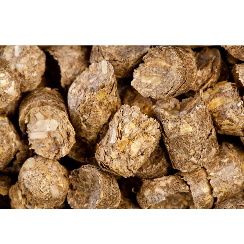 Close-up of brown pet food pellets on a white background