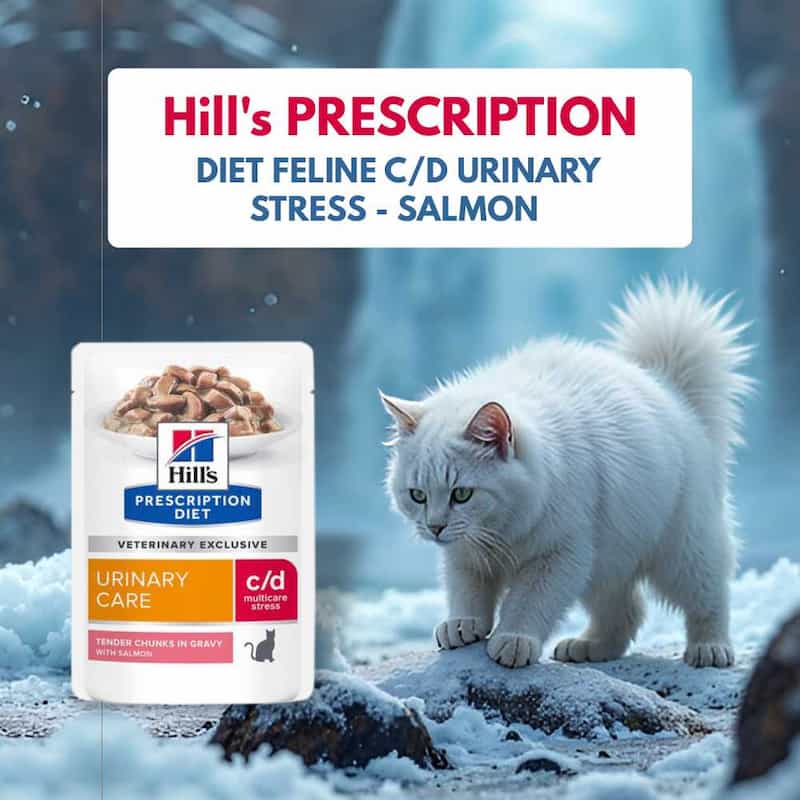 Hills Prescription Diet Feline C/D Urinary Stress Salmon cat food package with a white cat in a snowy landscape.