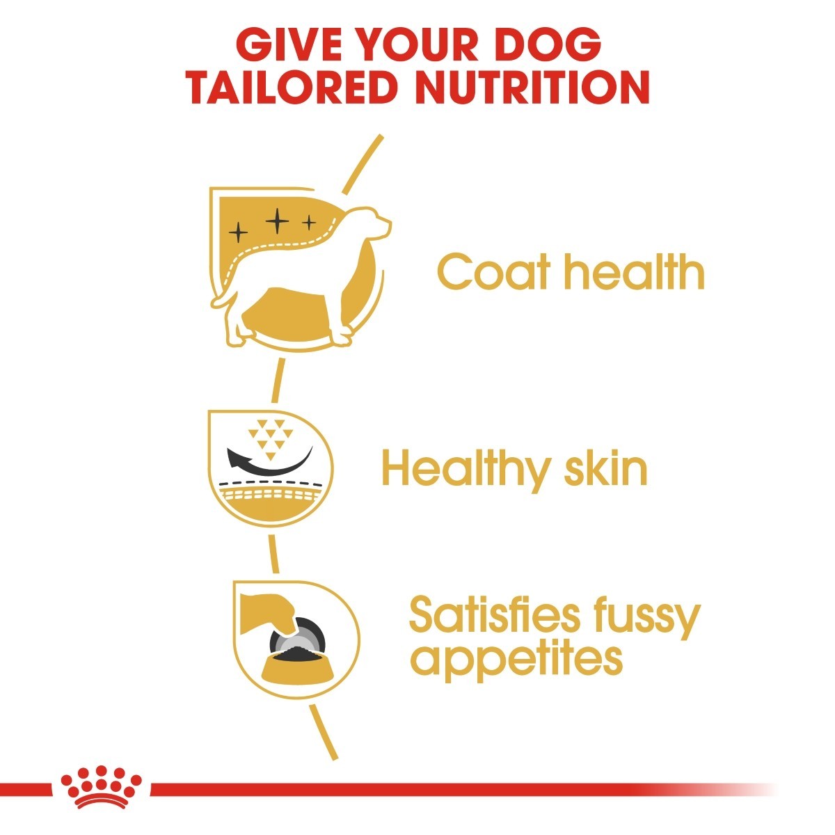 Dog food brand advertisement highlighting tailored nutrition benefits for dogs.