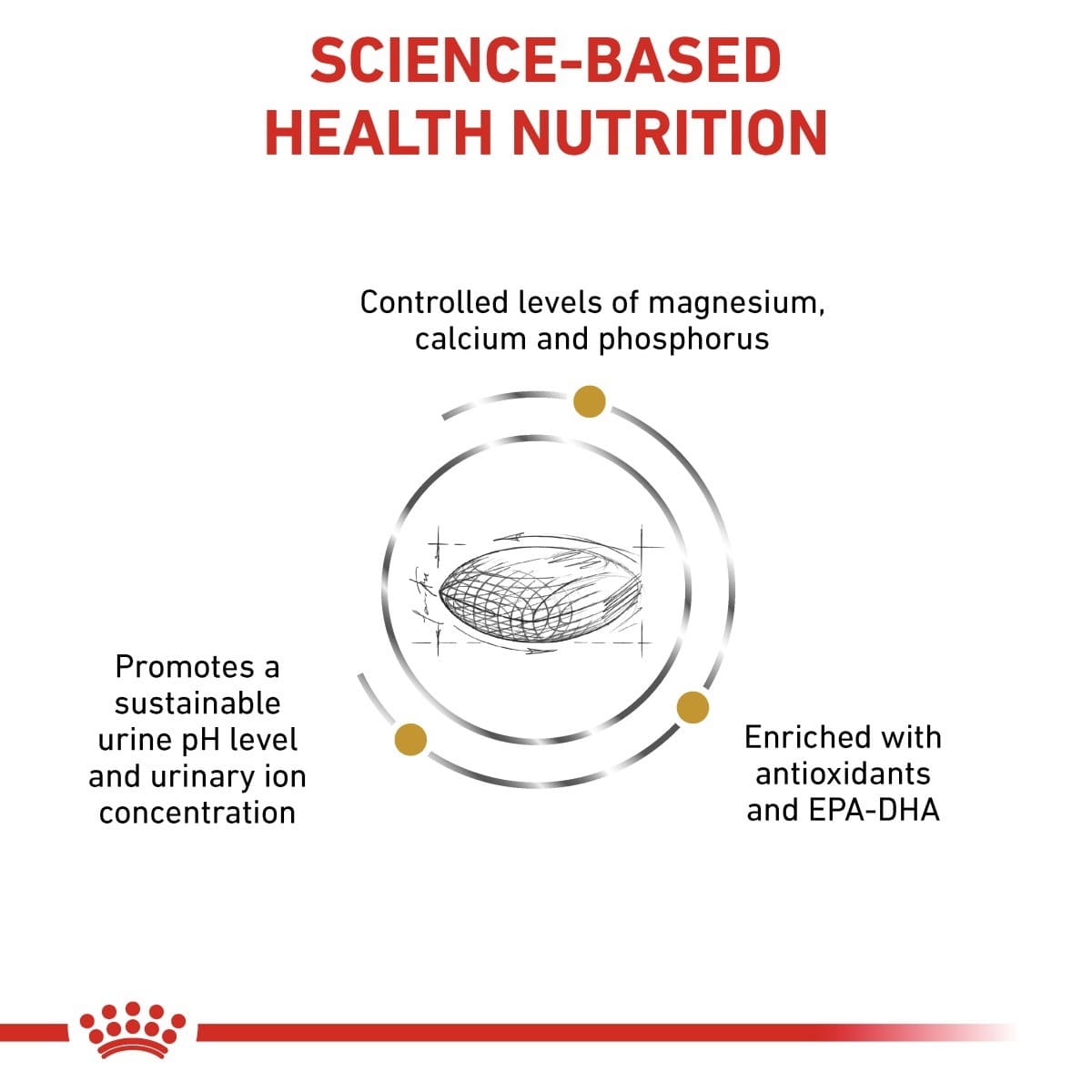 Diagram of science-based health nutrition with text and a fish illustration on a white background.