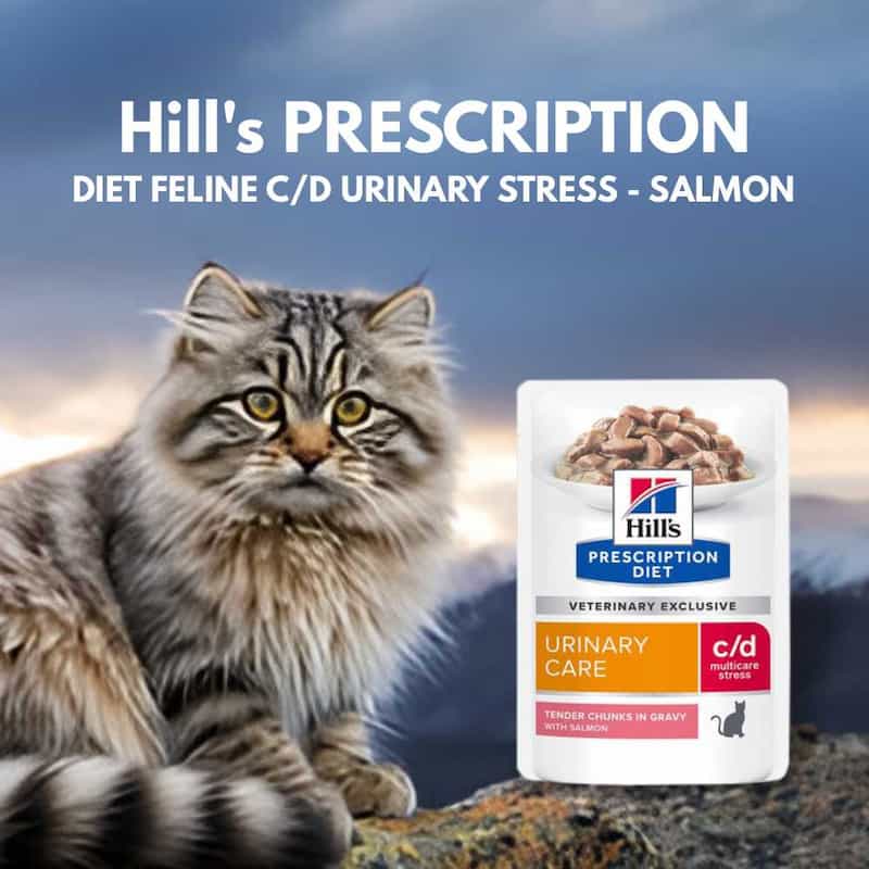 Cat with Hills Prescription Diet Feline C/D Urinary Stress Salmon food packaging on a scenic background