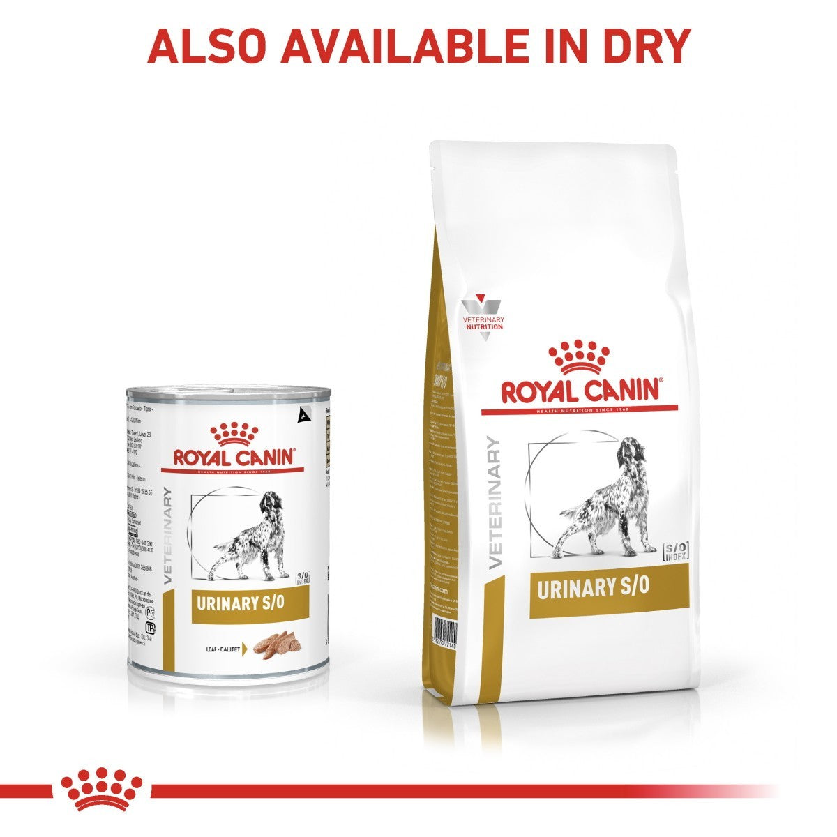 Royal Canin Veterinary Diet Urinary S/O dry food and can on a white background