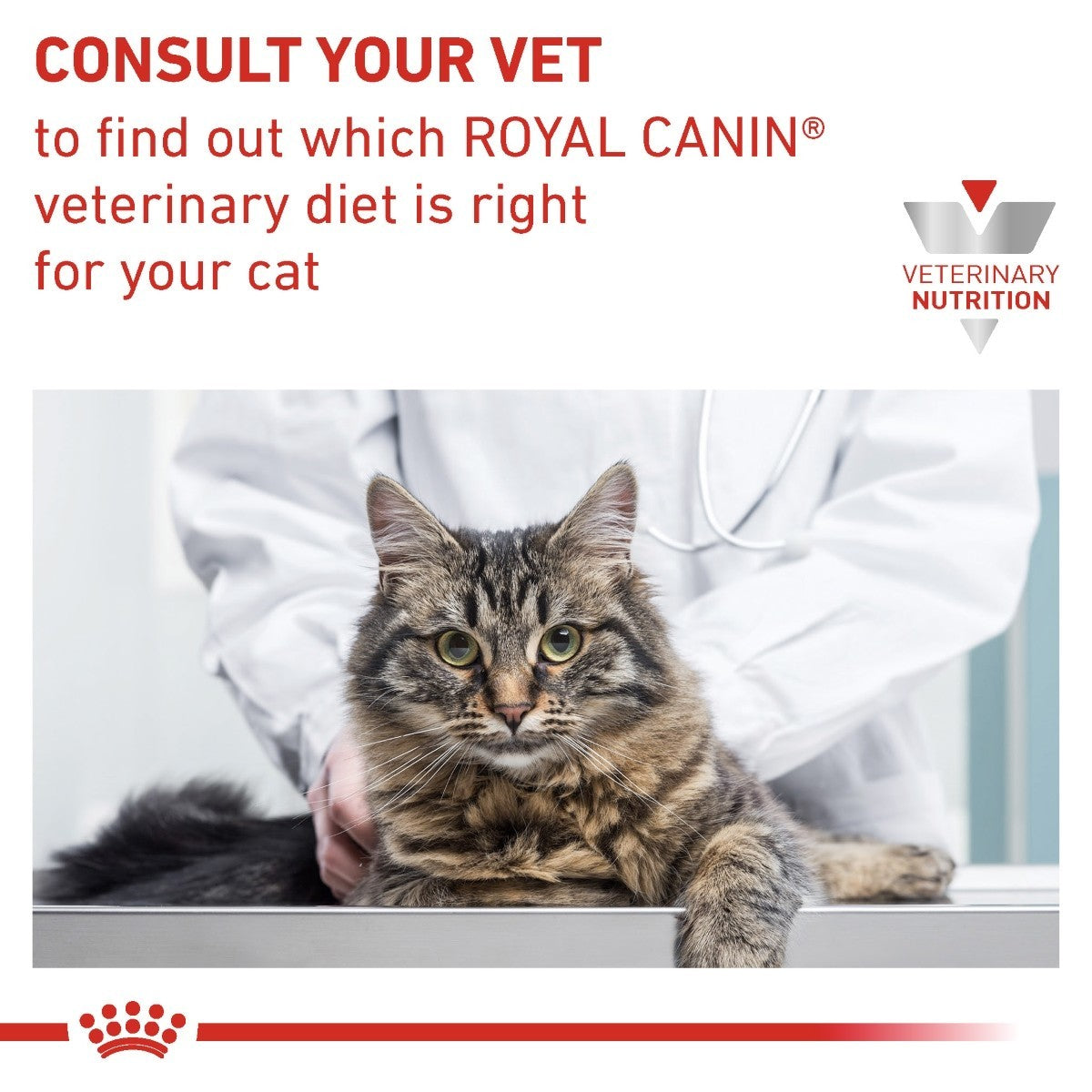 Cat being examined by a veterinarian with Royal Canin Veterinary Diet text.