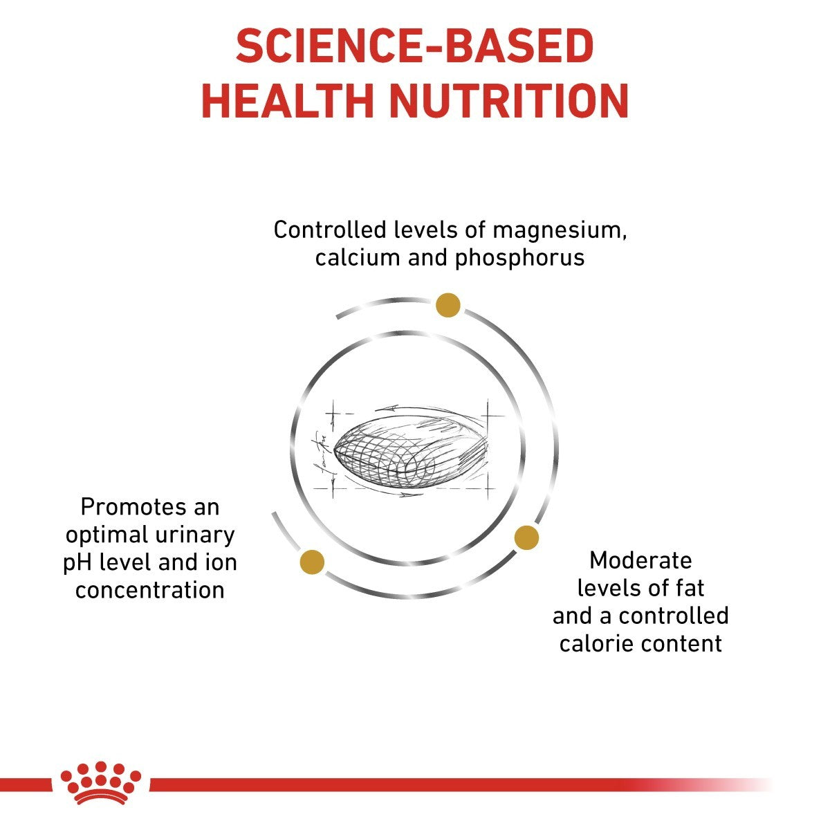 Diagram of science-based health nutrition for pet food with text and a diagram of a pet food product.
