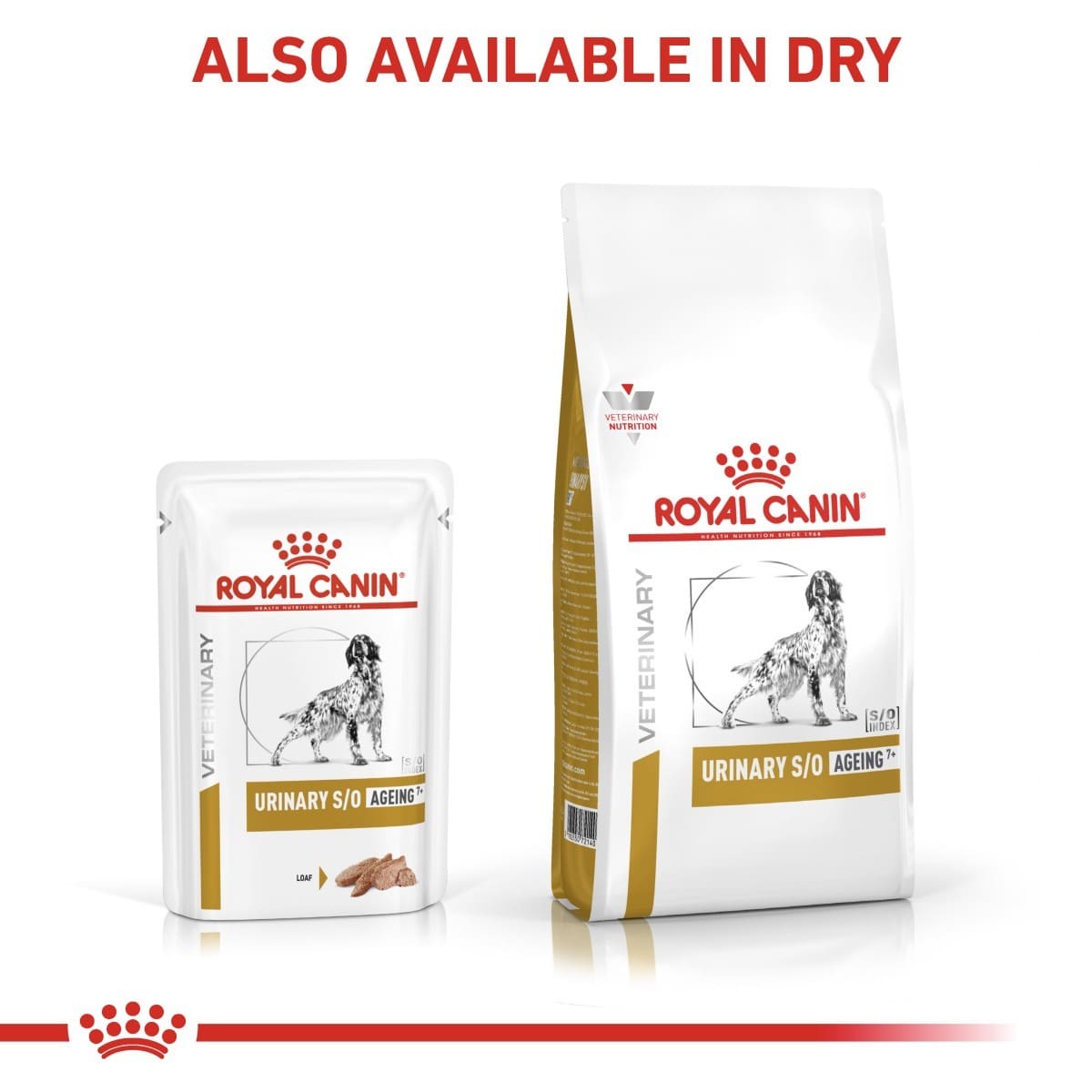 Royal Canin Veterinary Diet products for dogs on a white background