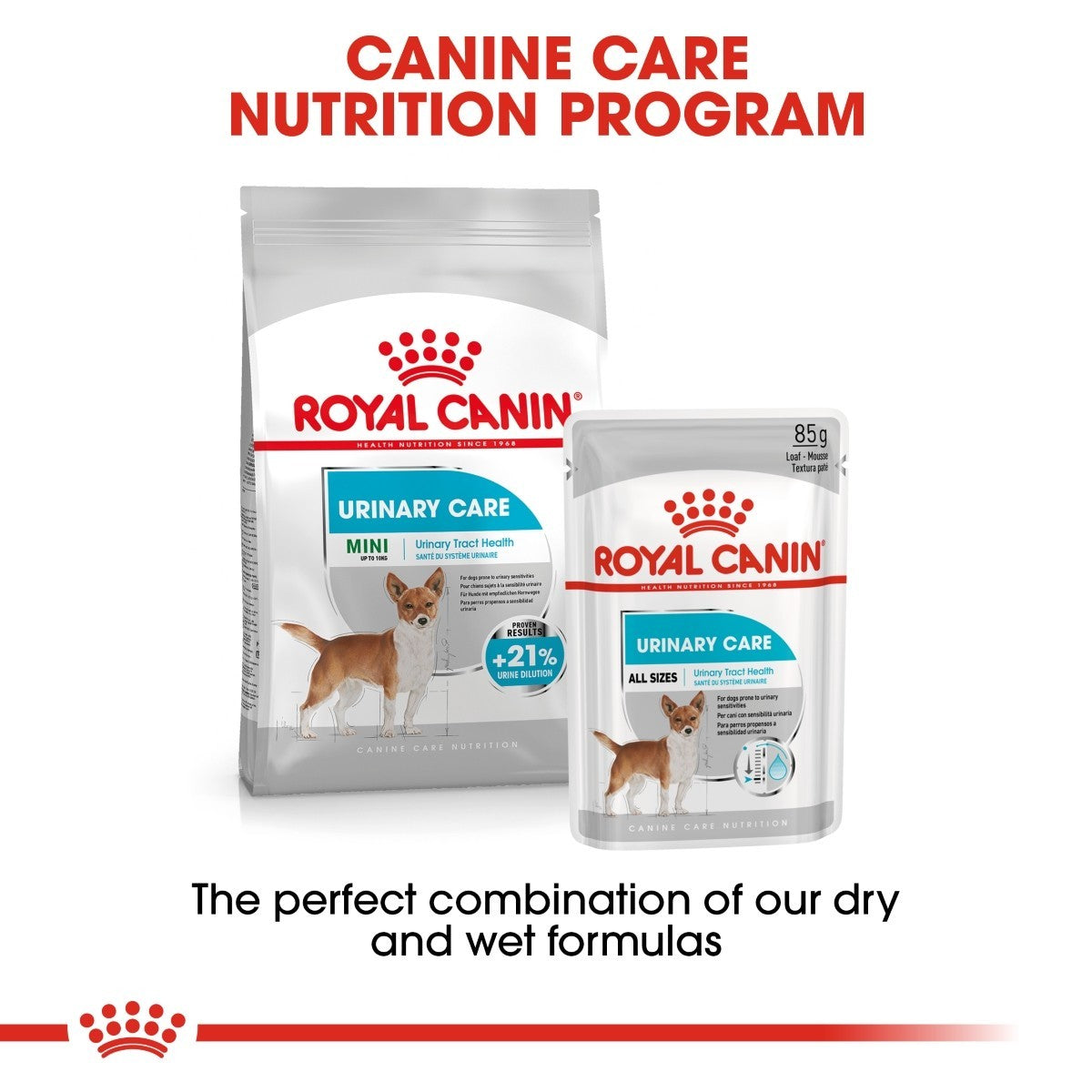 Royal Canin dog food packages for urinary care on a white background