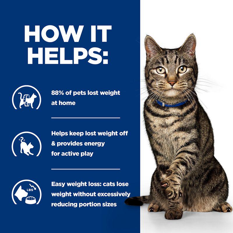 Vet-approved cat food