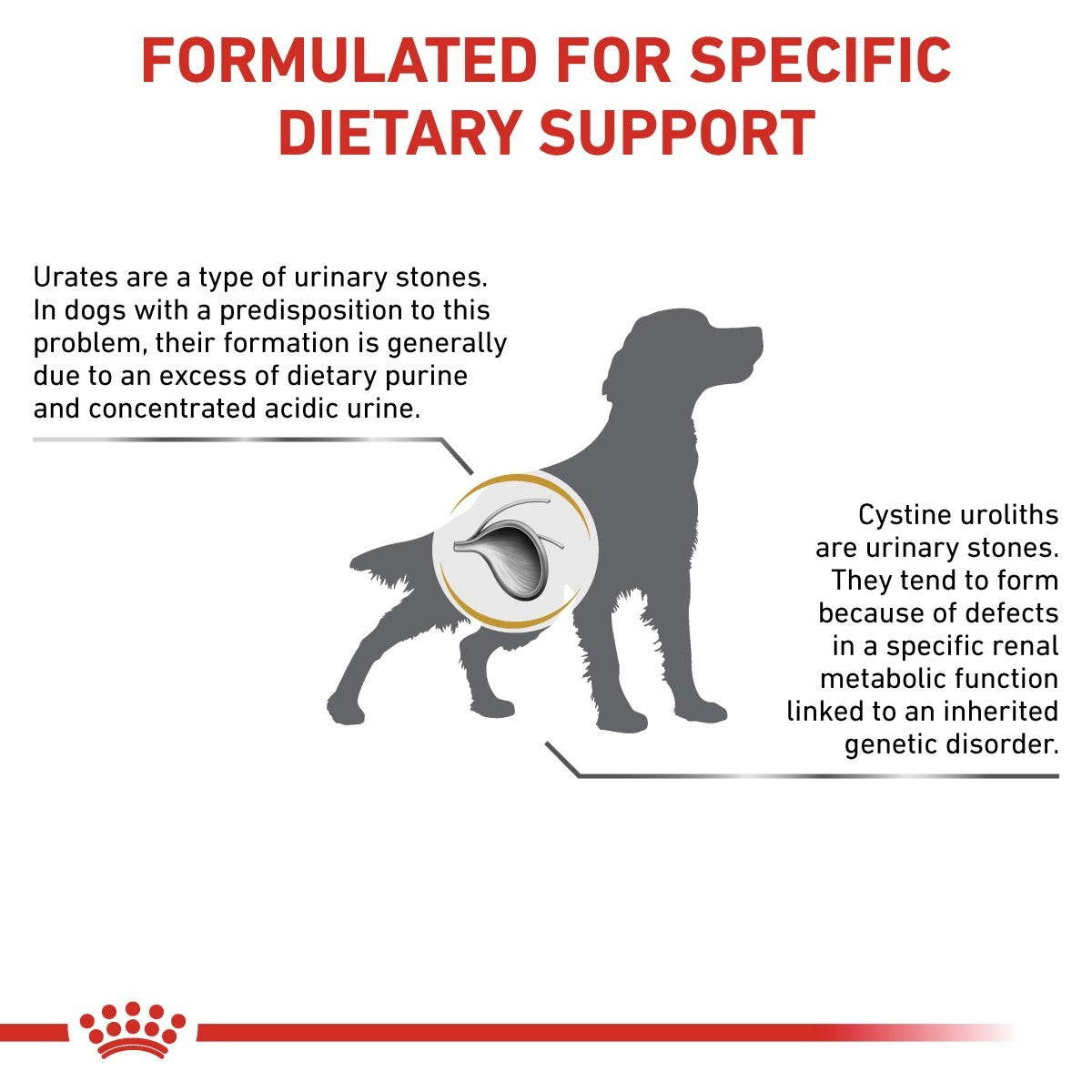 Dog health information card about urinary stones and dietary support.