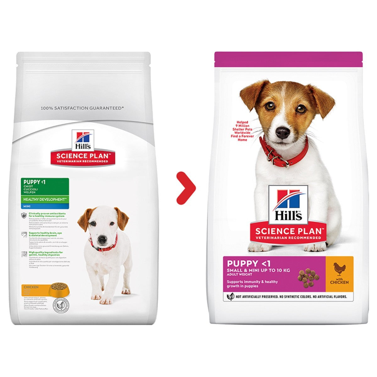 Two packages of Hills Science Plan Puppy dog food on a white background