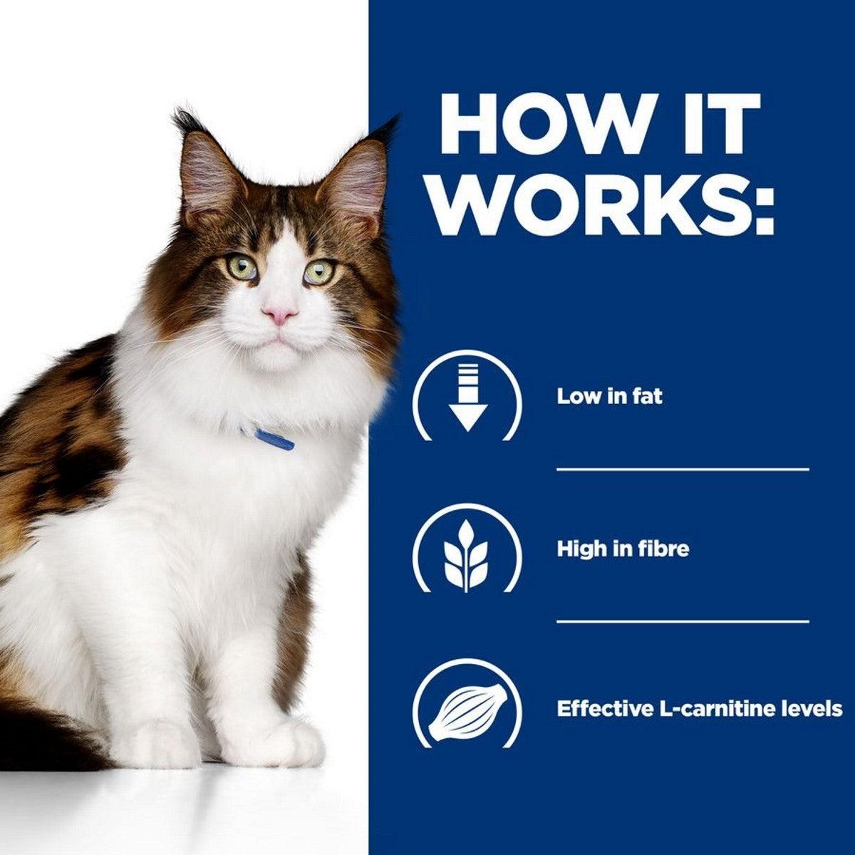 Prescription diet for cats