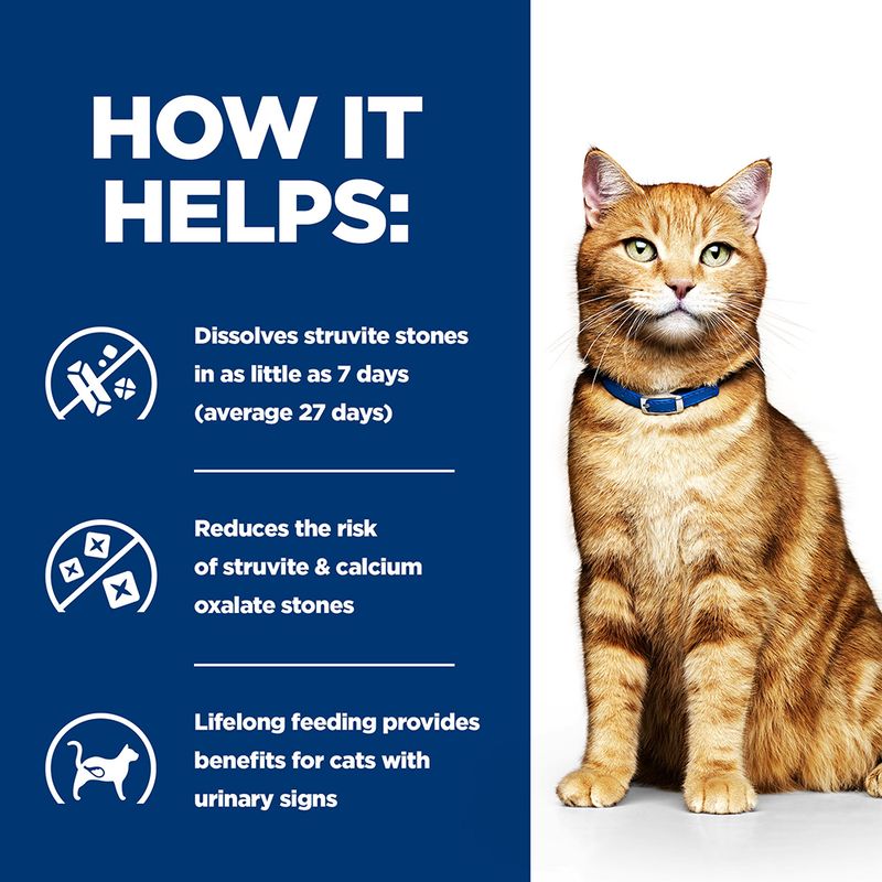 Cat with a blue background and text about urinary stone dissolution benefits.