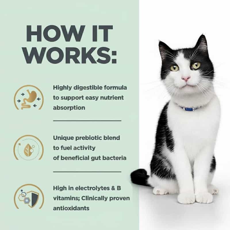 Cat with text on a green background explaining a highly digestible formula for easy nutrient absorption.