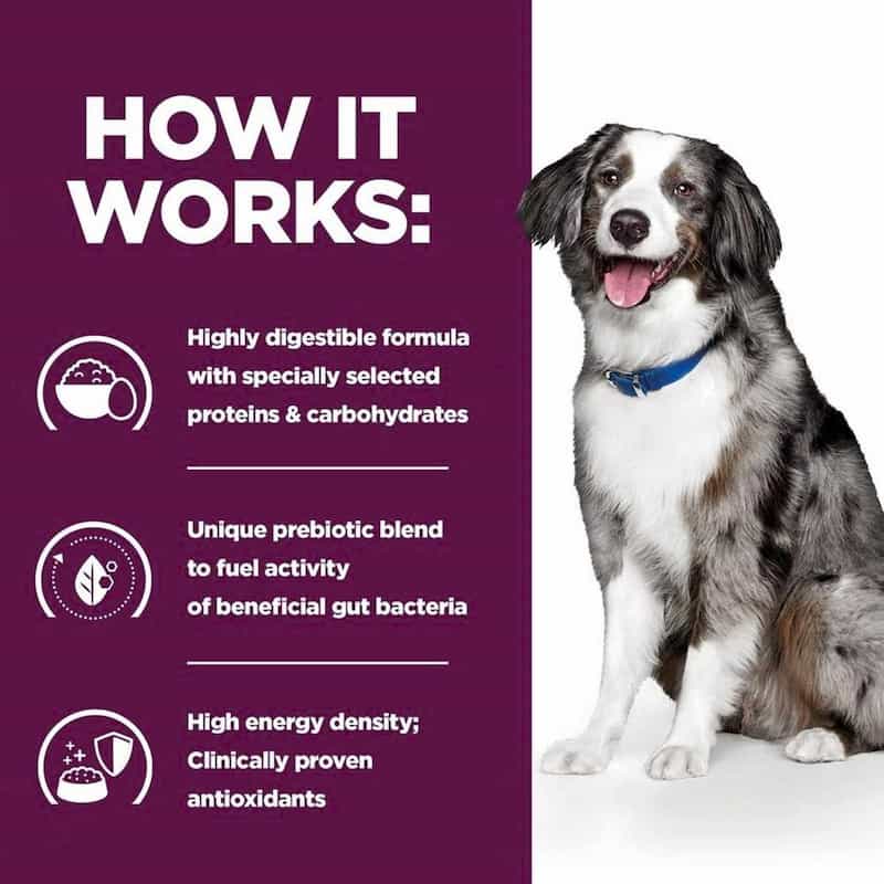 Dog with a purple background and text about a highly digestible formula.