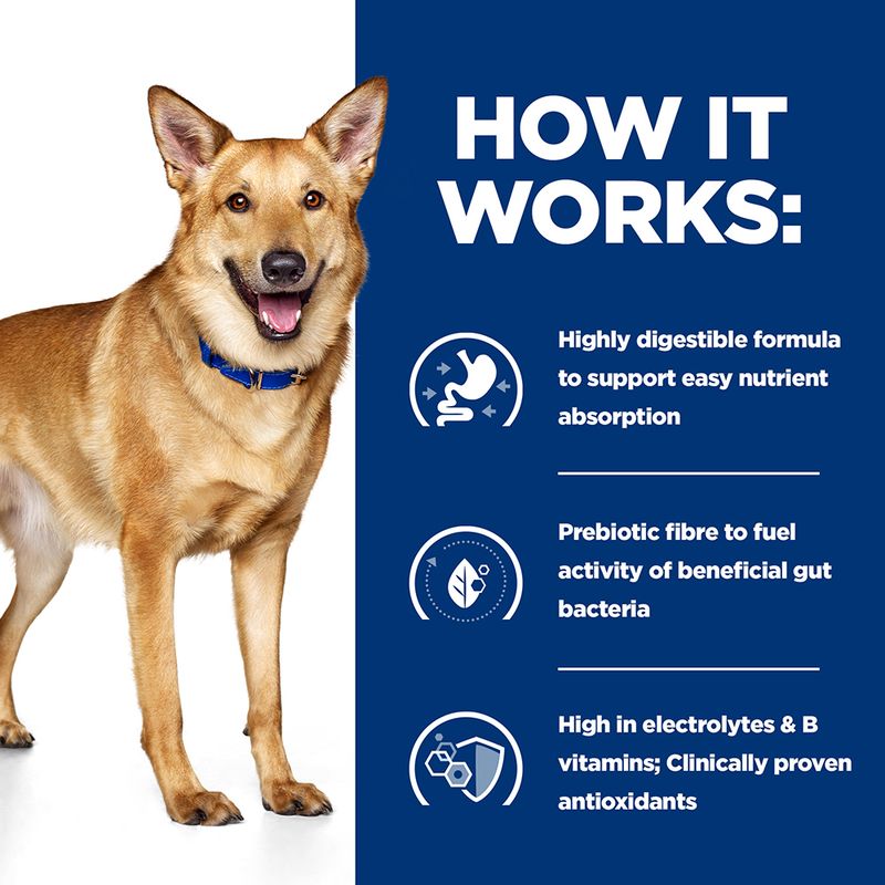 recommend the right amount based on your dog's weight