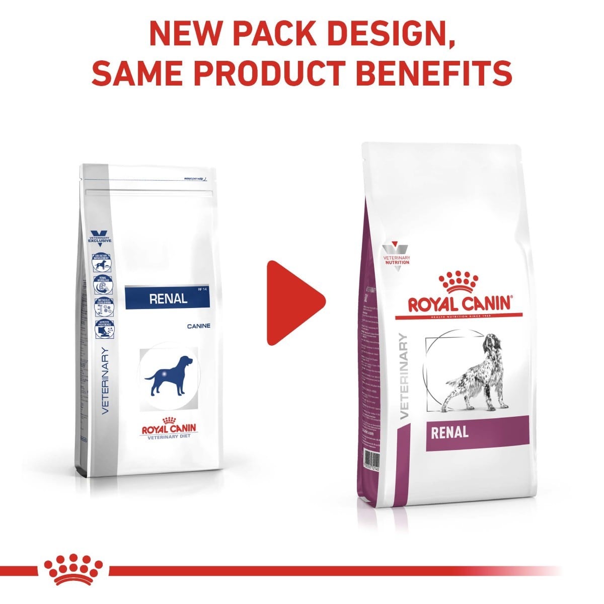 Two packages of Royal Canin Renal dog food with a red arrow and text on a white background