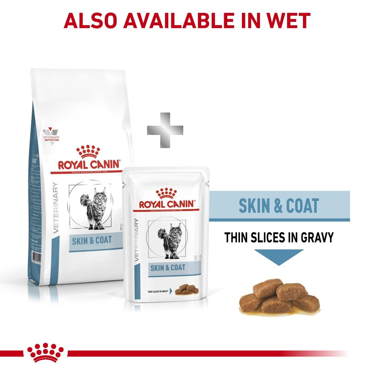 Royal Canin Skin & Coat cat food packaging with text indicating availability in wet format.